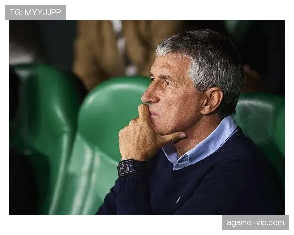 厄德高体系依赖与个人能力的战术适配性分析