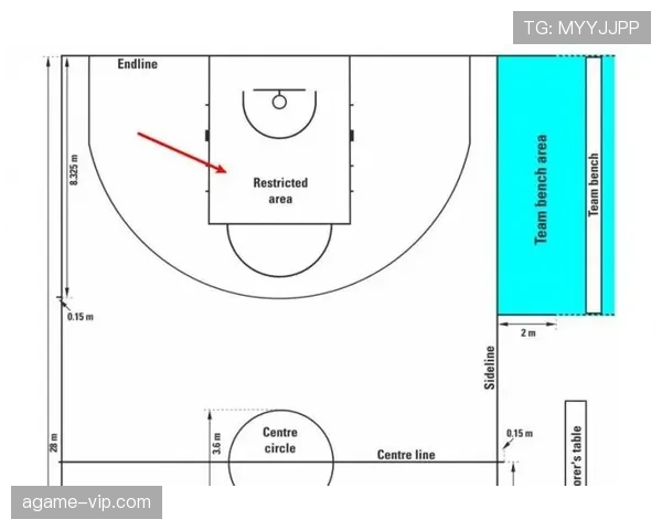 深度解析罚球规则NBA与FIBA区别的条文与执行