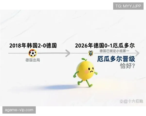 土耳其无缘世界杯32强：D组收官结果确定